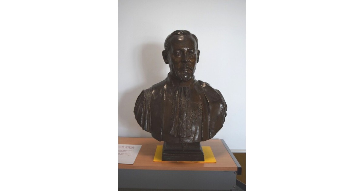 Docteur Alfred Luton, BERTOZZI Portail officiel des Musées de Reims