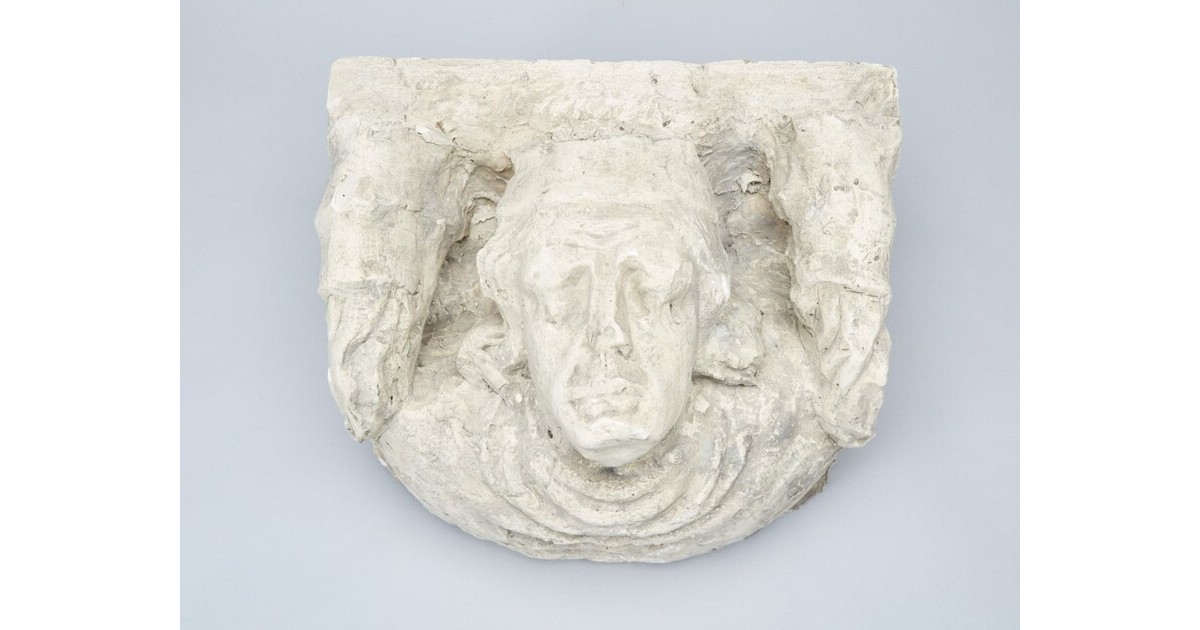 D FINITIONS MARMOUSET visual data 6