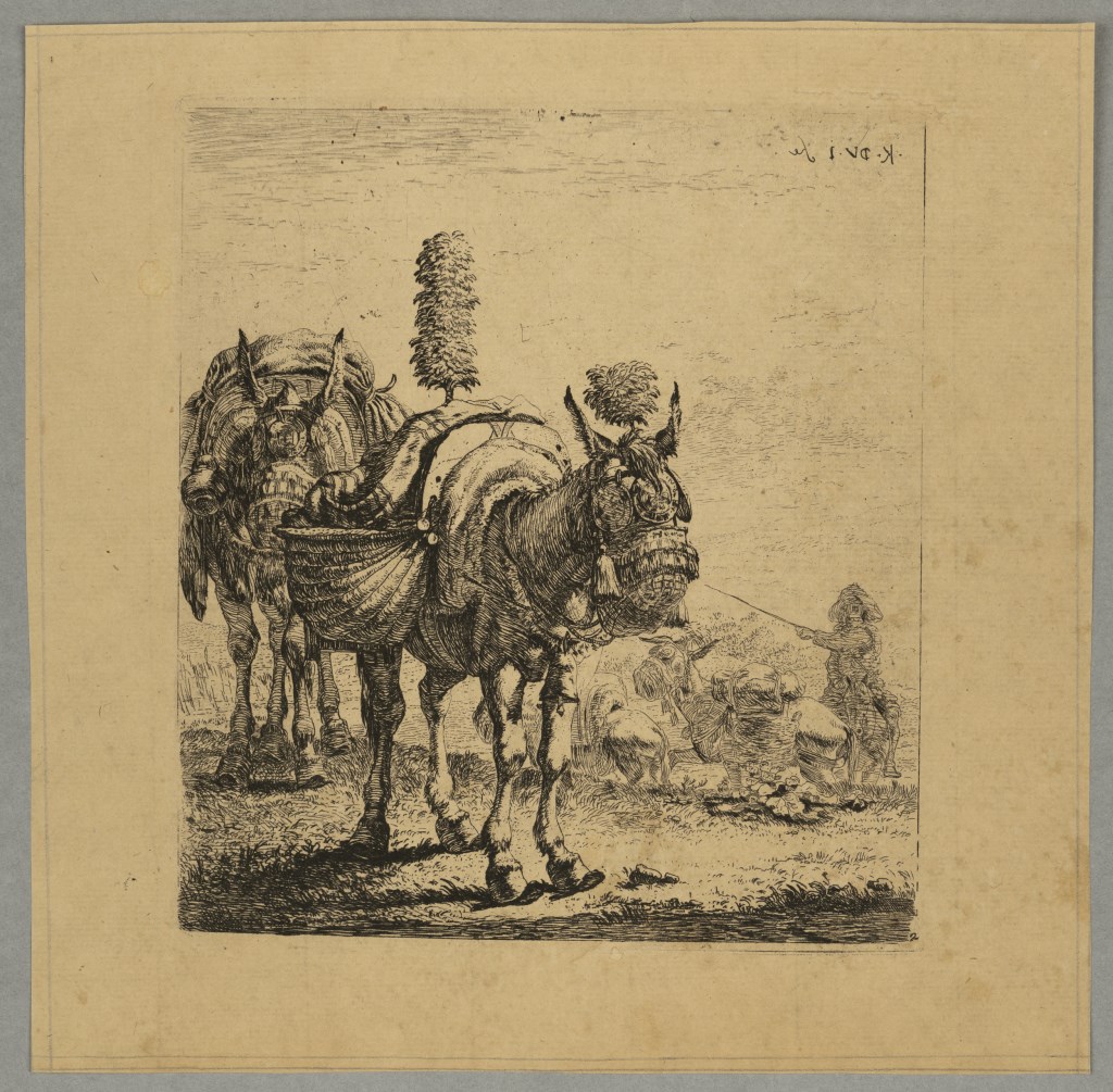  par DUJARDIN