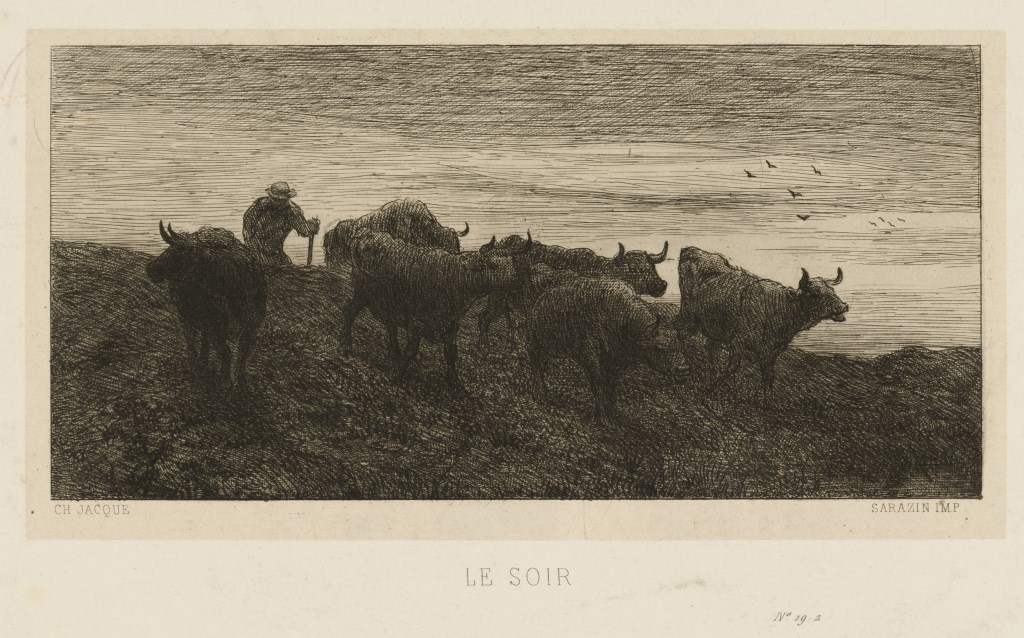  par JACQUE