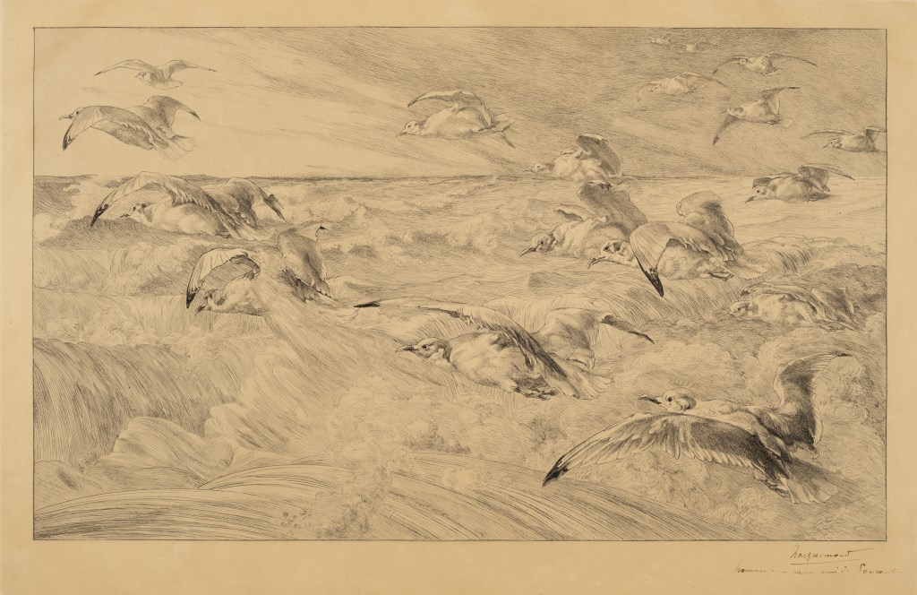  par BRACQUEMOND