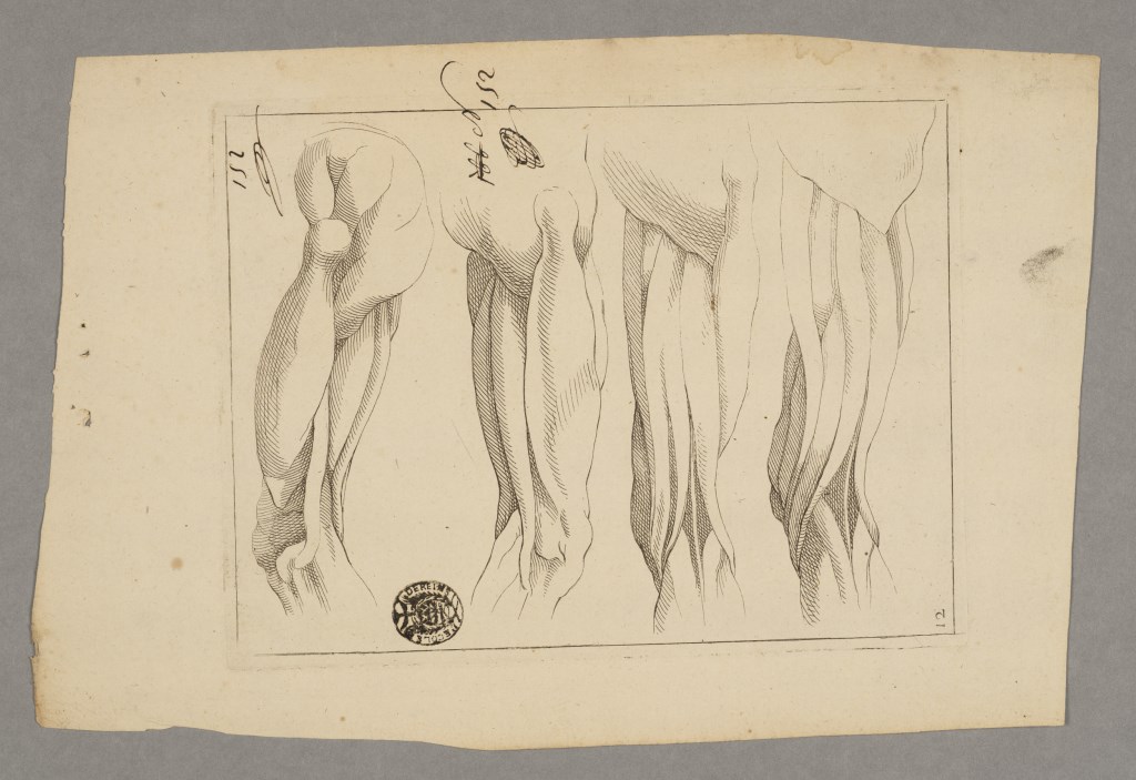  par ANONYME FRANCAIS 18ème siècle