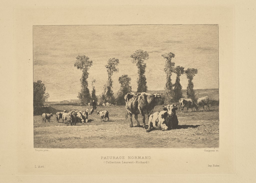  par CHAIGNEAU
