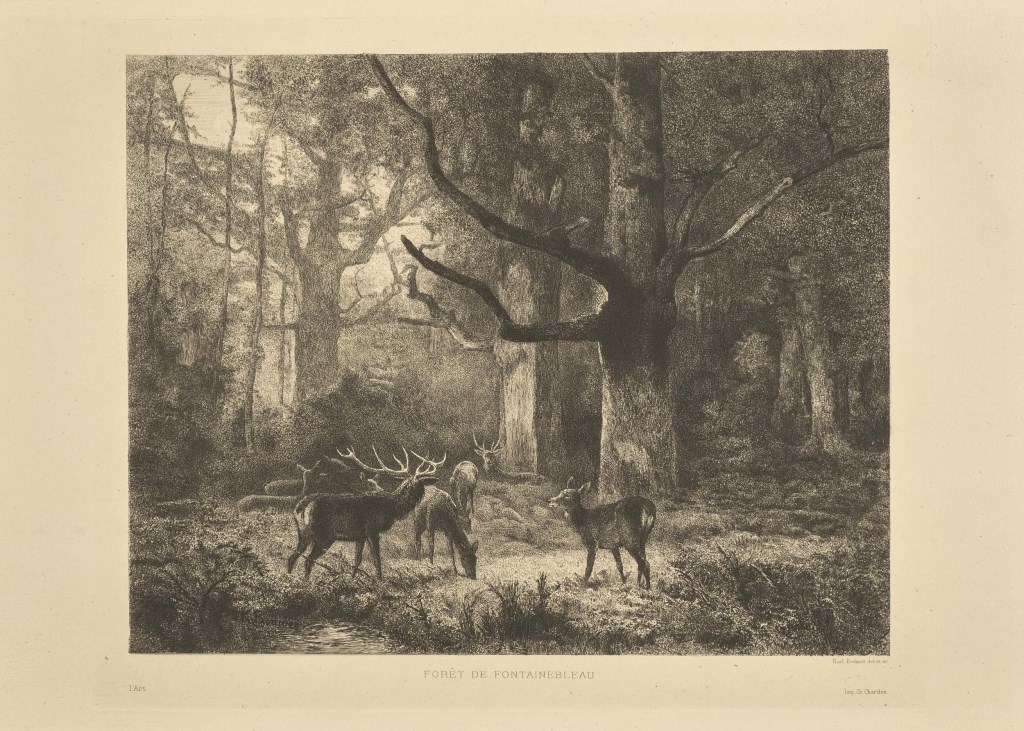 par BODMER