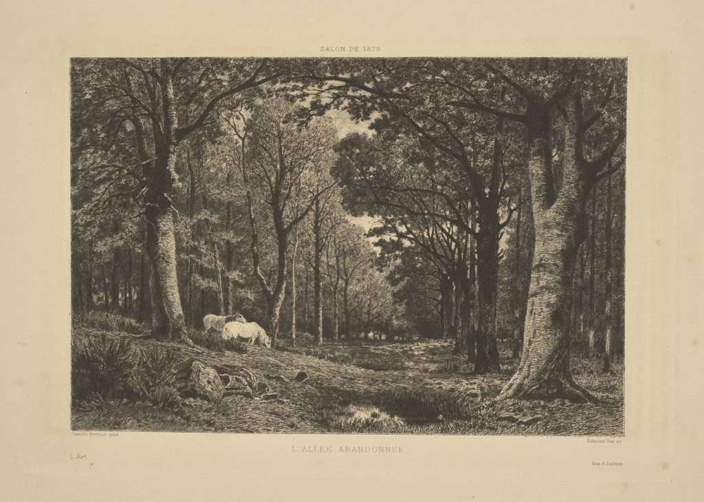  par YON