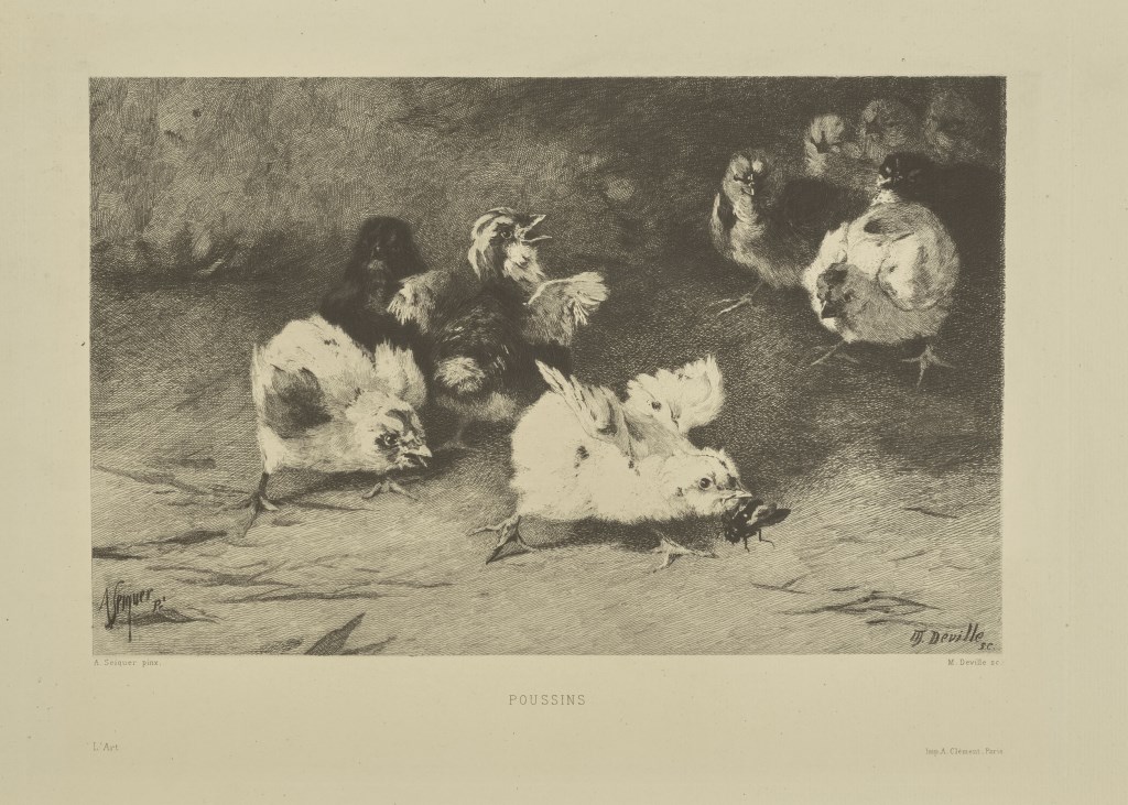  par DEVILLE