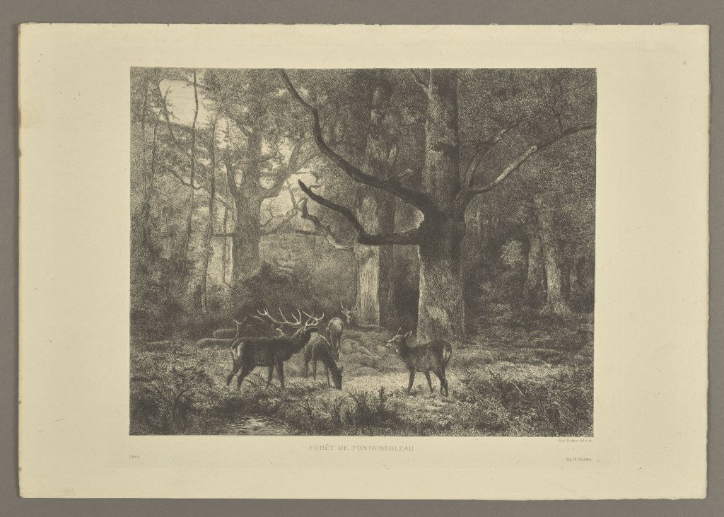  par BODMER