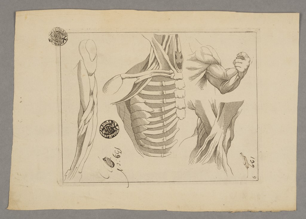  par ANONYME FRANCAIS 18ème siècle