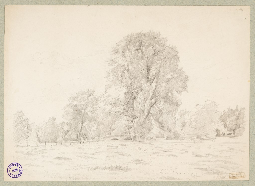  par RUINART DE BRIMONT