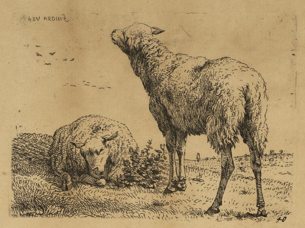  par DUJARDIN
