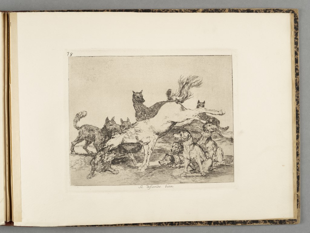  par GOYA