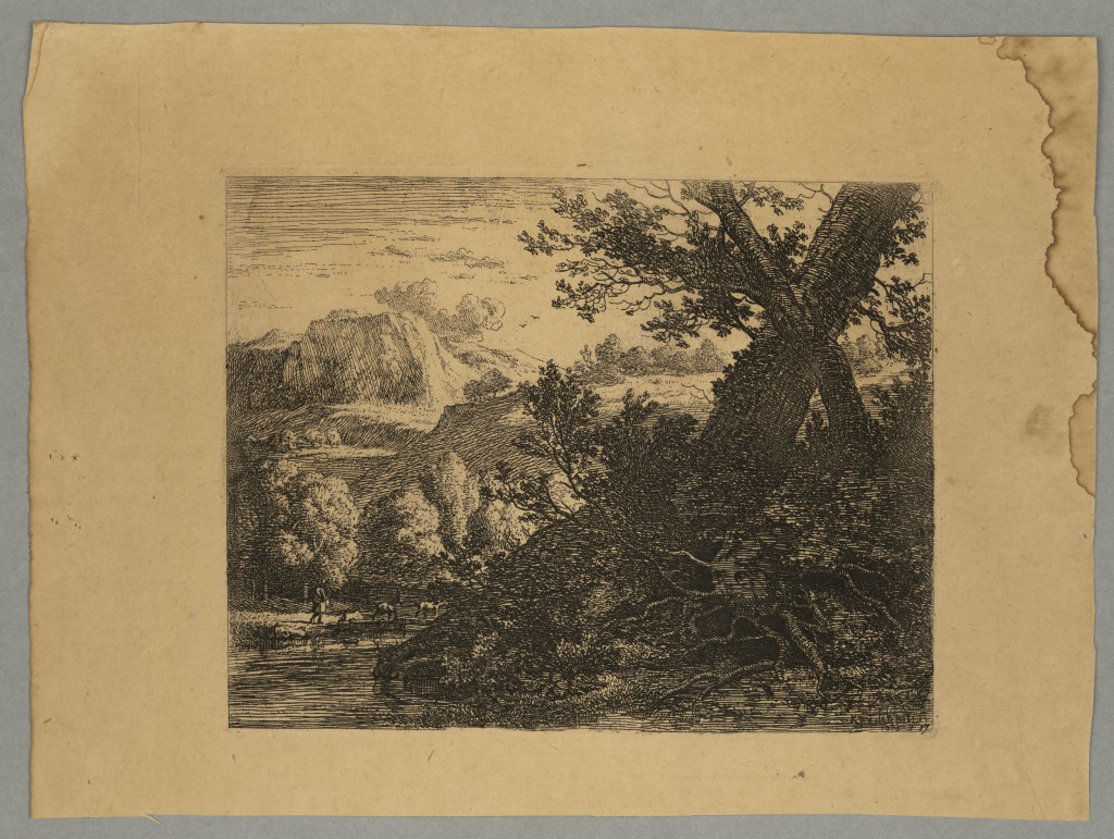  par DUJARDIN