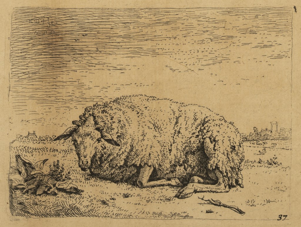  par DUJARDIN