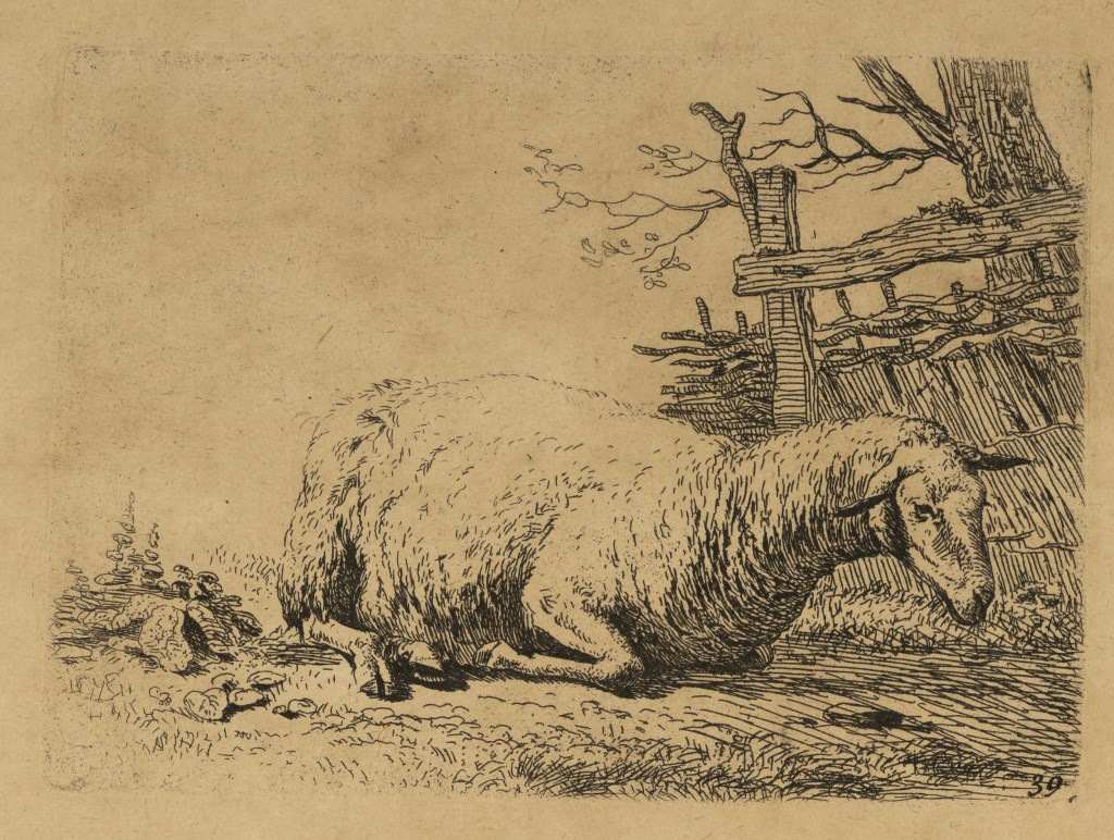  par DUJARDIN