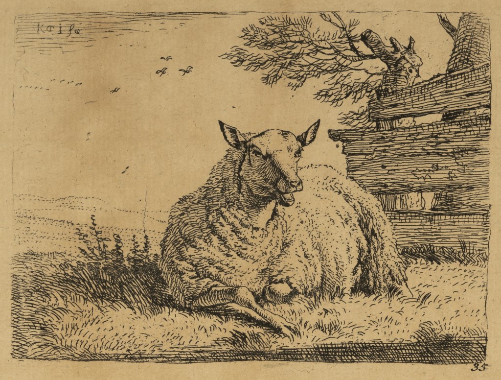  par DUJARDIN