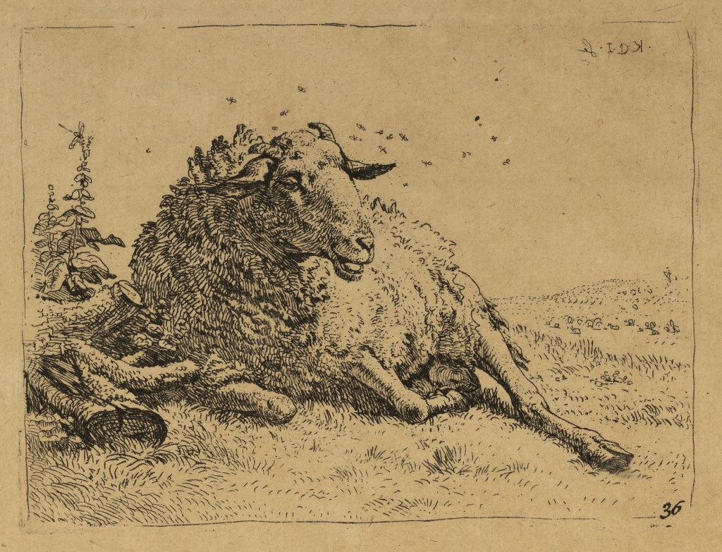  par DUJARDIN