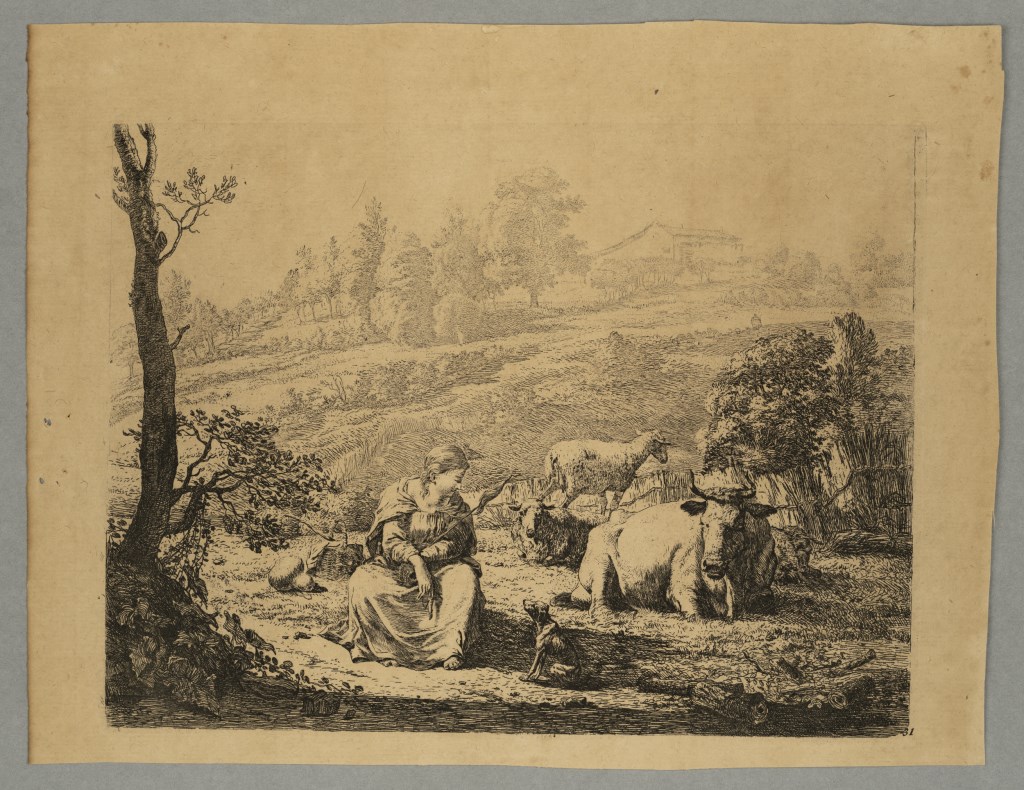  par DUJARDIN