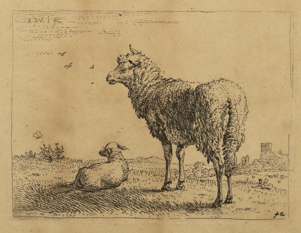 par DUJARDIN
