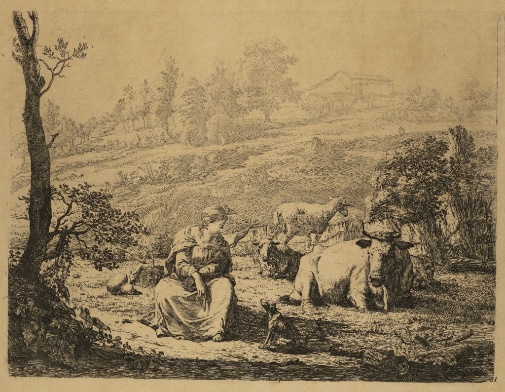  par DUJARDIN