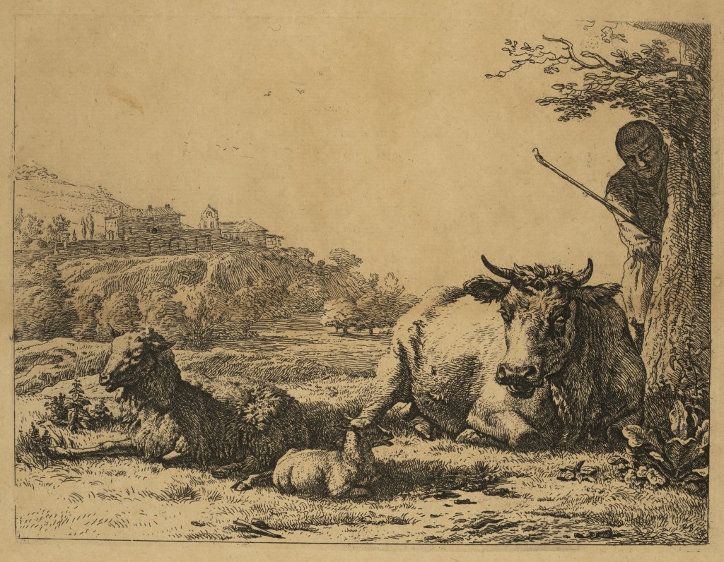  par DUJARDIN