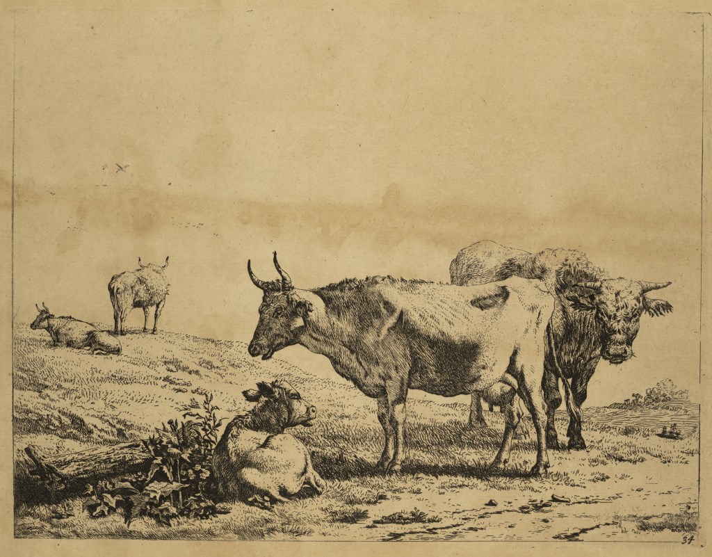  par DUJARDIN