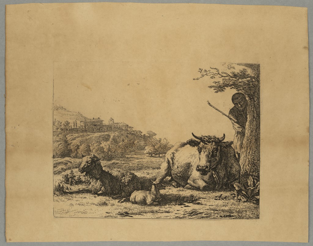  par DUJARDIN