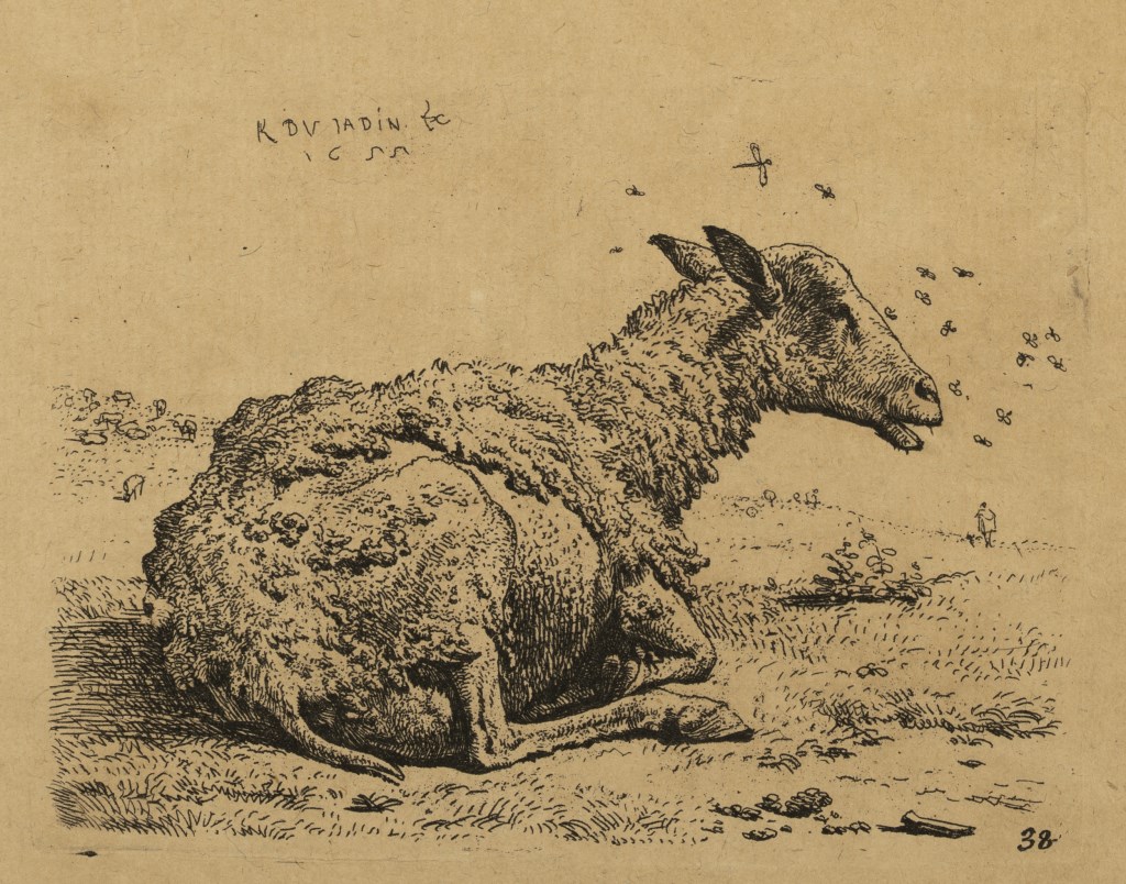  par DUJARDIN