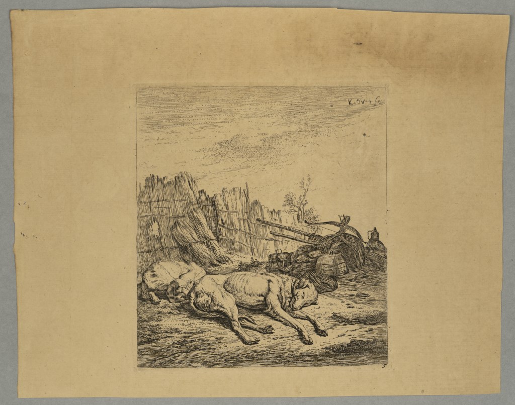  par DUJARDIN