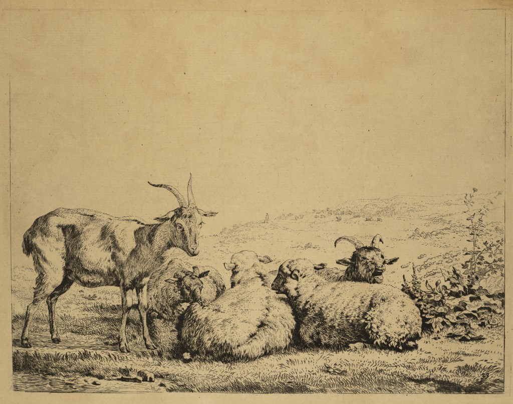  par DUJARDIN