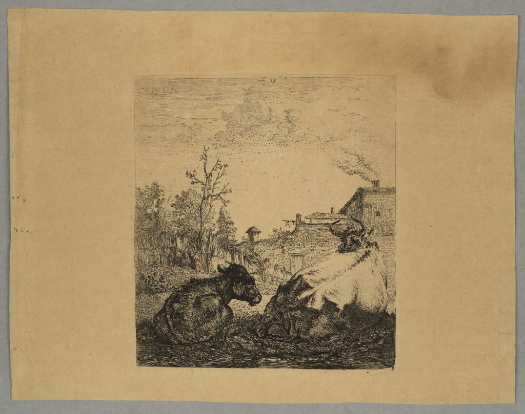  par DUJARDIN