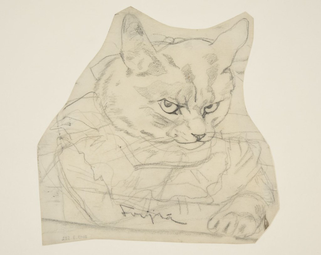  par FOUJITA