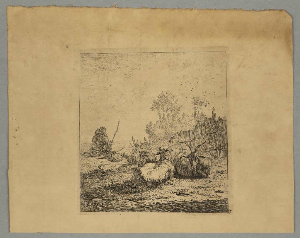  par DUJARDIN
