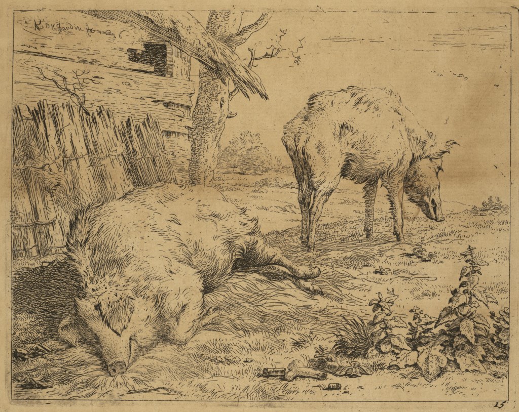  par DUJARDIN