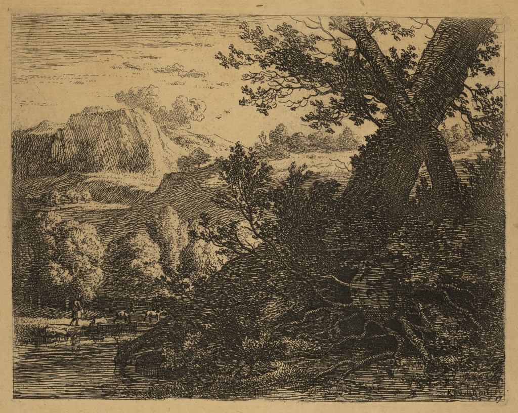  par DUJARDIN