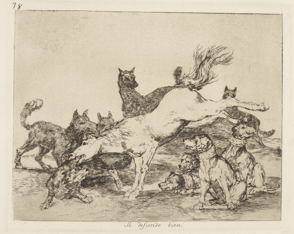  par GOYA