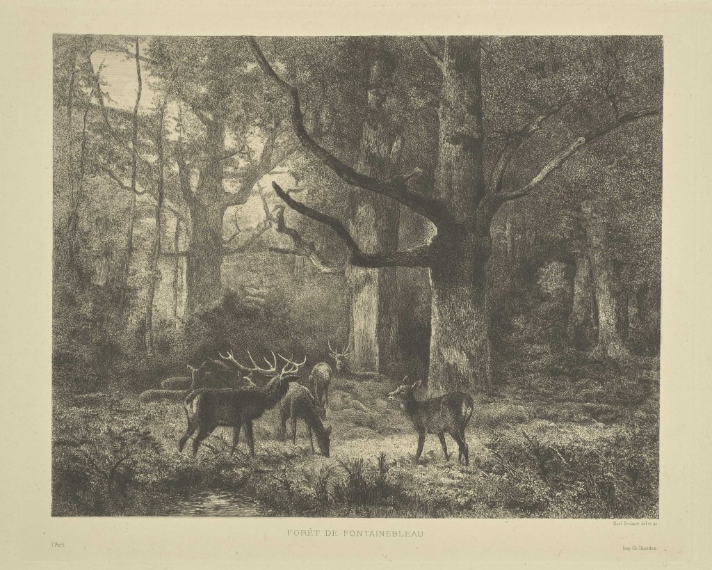 par BODMER