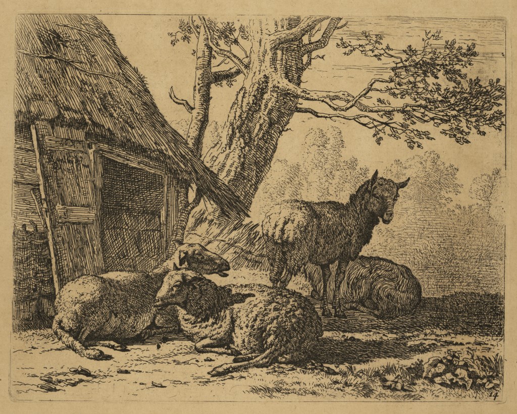  par DUJARDIN