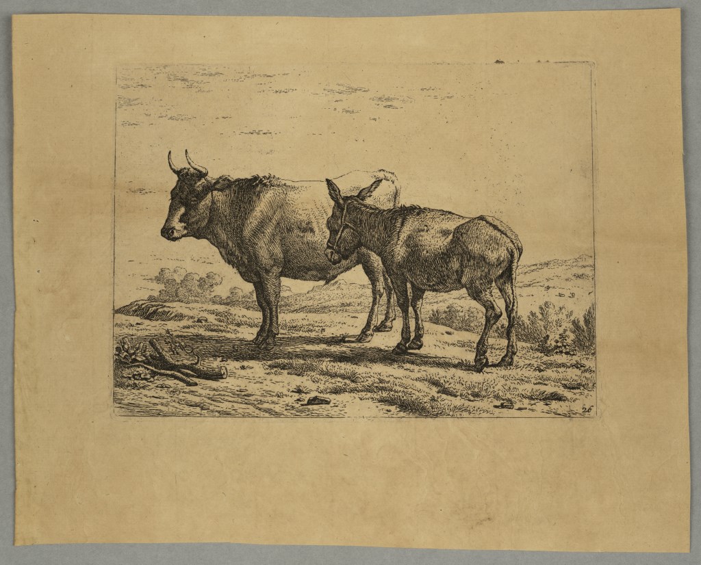  par DUJARDIN