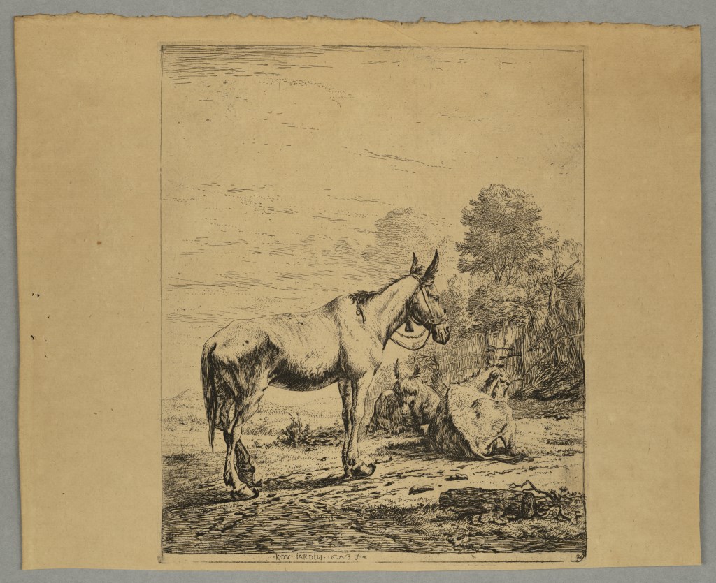  par DUJARDIN