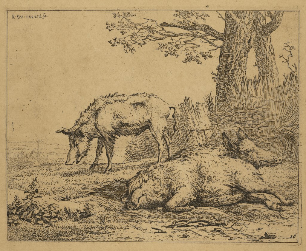  par DUJARDIN