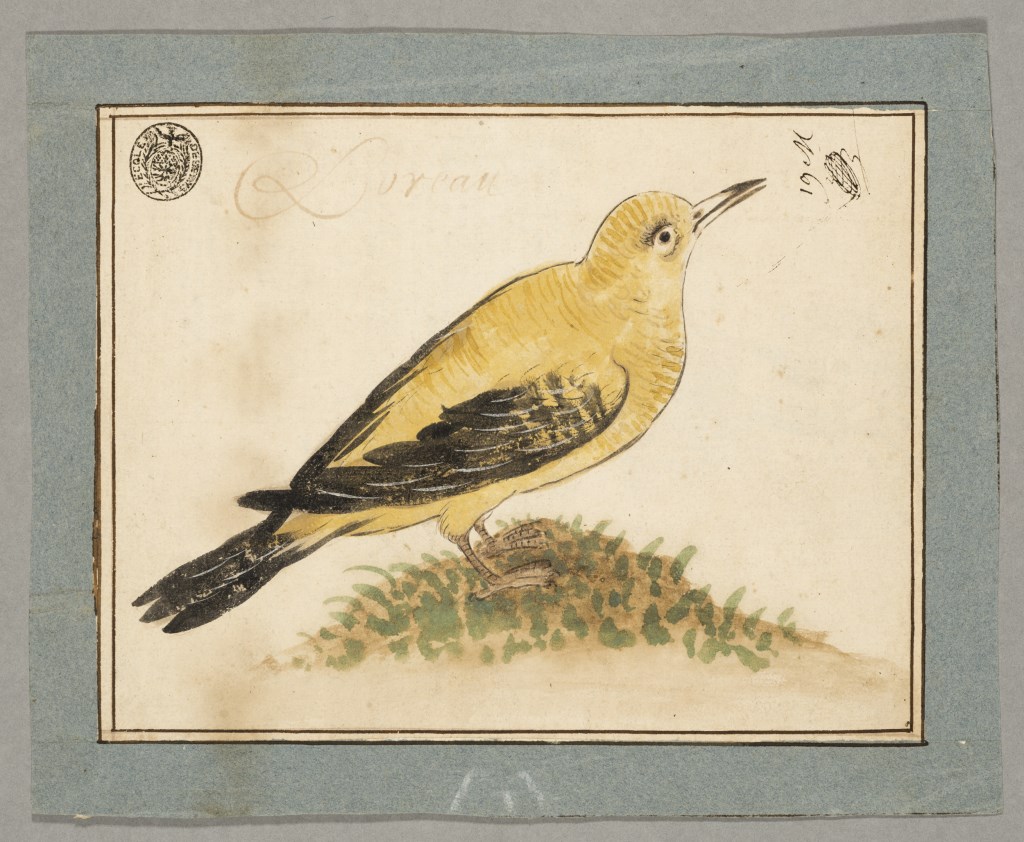  par ANONYME FRANCAIS 18ème siècle