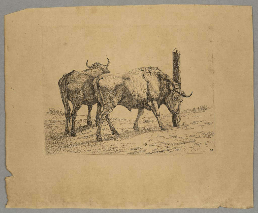  par DUJARDIN