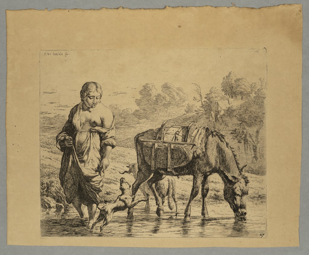  par DUJARDIN