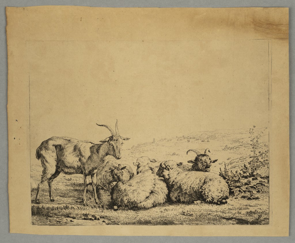  par DUJARDIN
