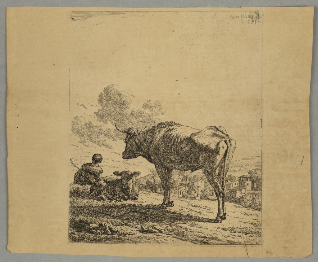  par DUJARDIN