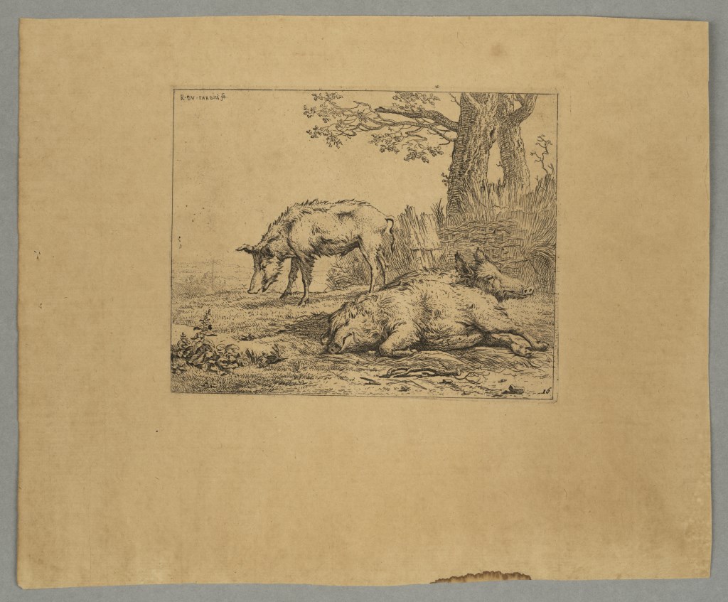  par DUJARDIN