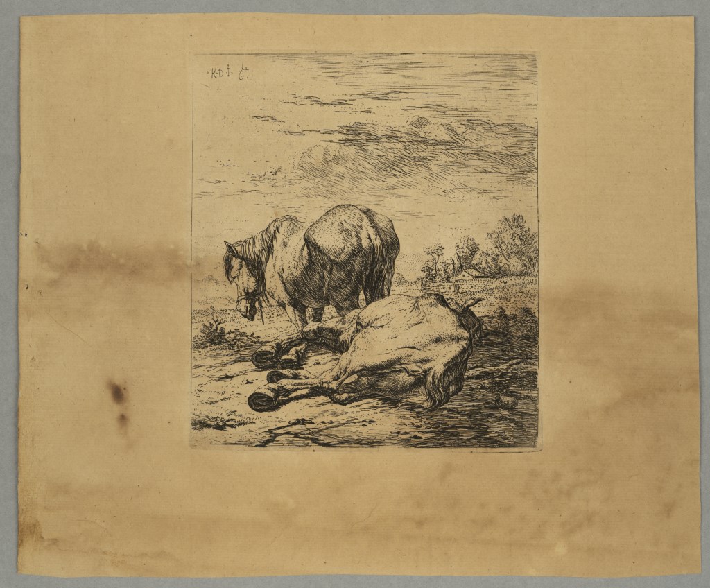  par DUJARDIN