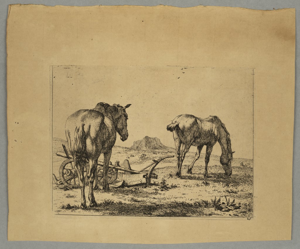  par DUJARDIN