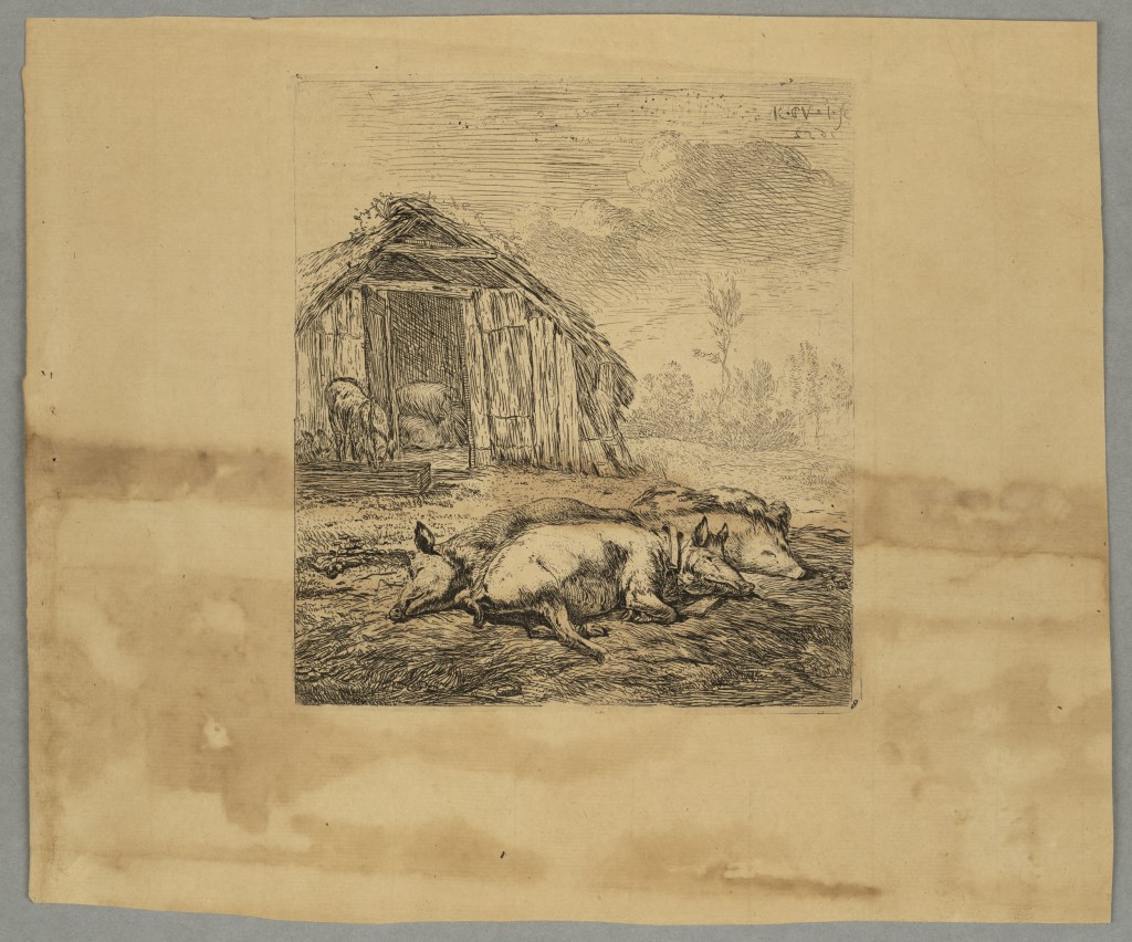  par DUJARDIN