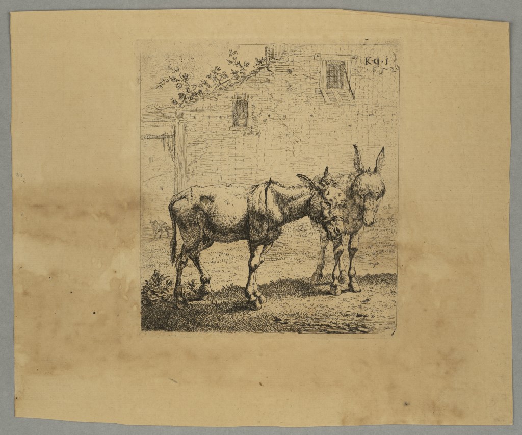  par DUJARDIN